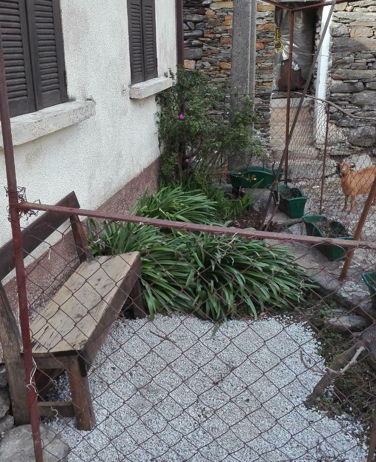 Casa Bernaldo Apartment Covas do Monte Exterior photo